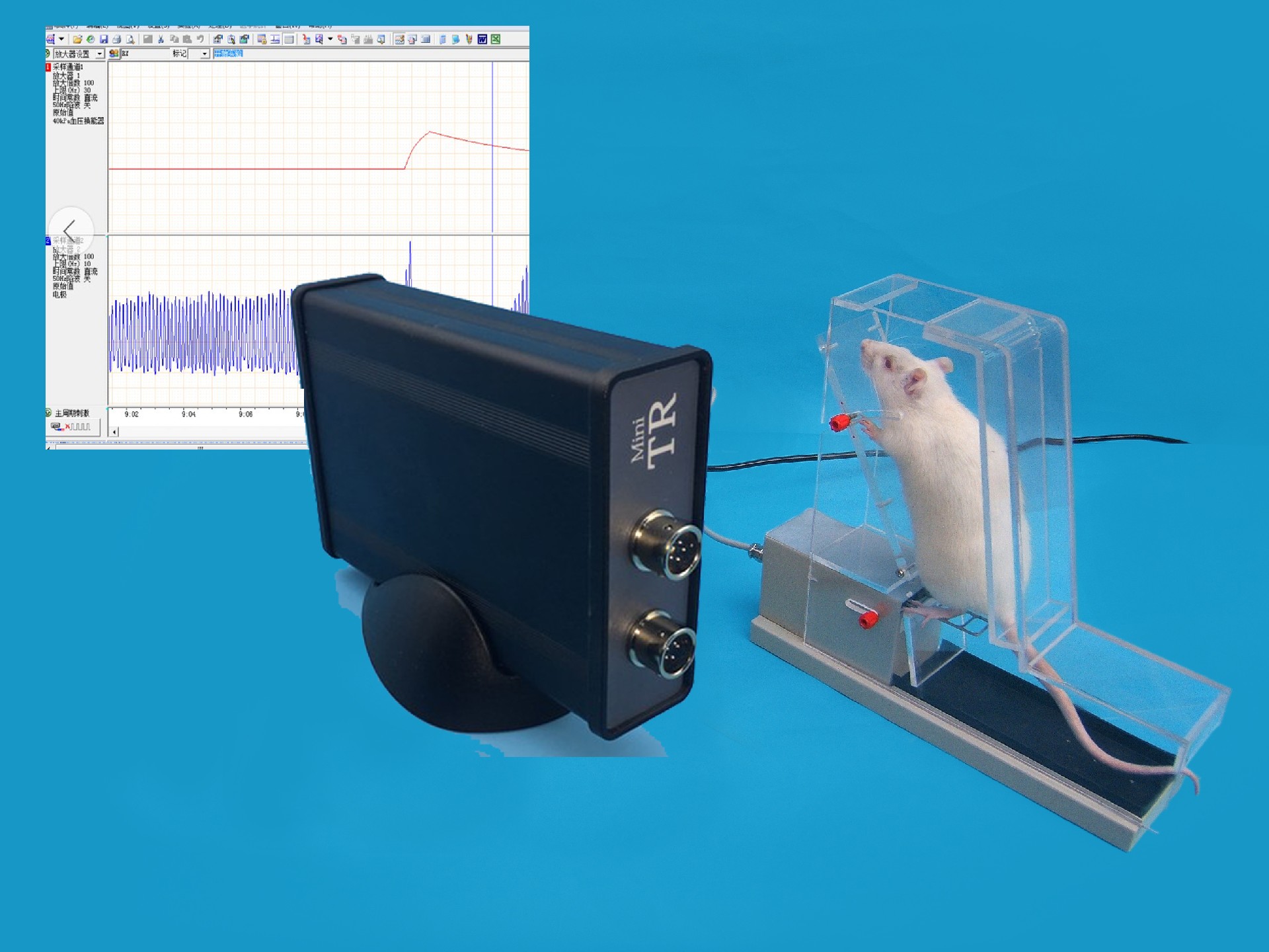 大小鼠双足平衡测痛仪2.jpg